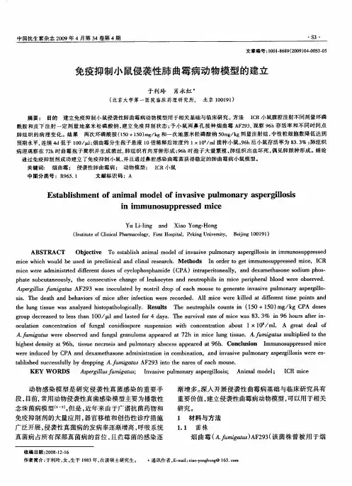 免疫抑制小鼠侵袭性肺曲霉病动物模型的建立