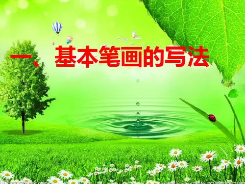 常用偏旁部首的写法优质PPT课件