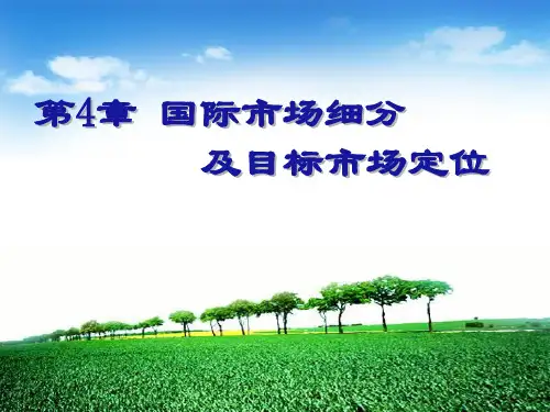 4 国际市场细分及目标市场定位