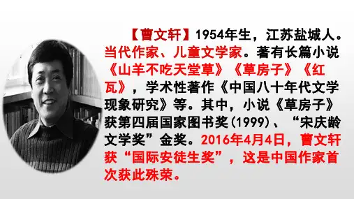第17课《孤独之旅》课件(共29张)语文九年级上册