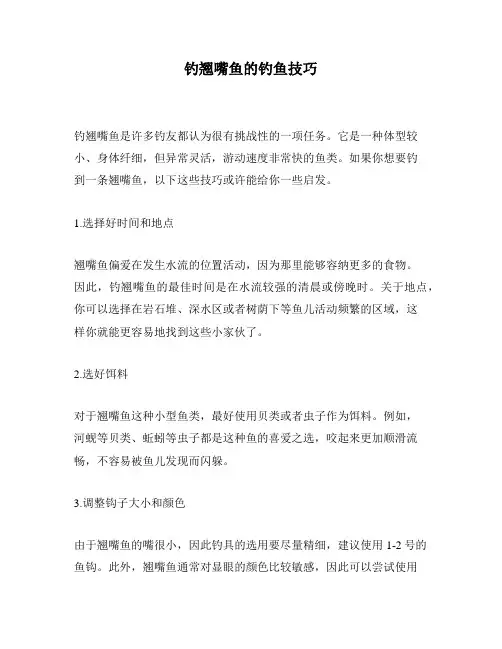 钓翘嘴鱼的钓鱼技巧
