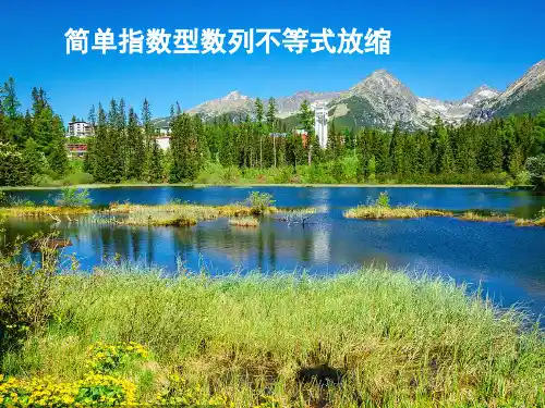 指数型数列不等式放缩