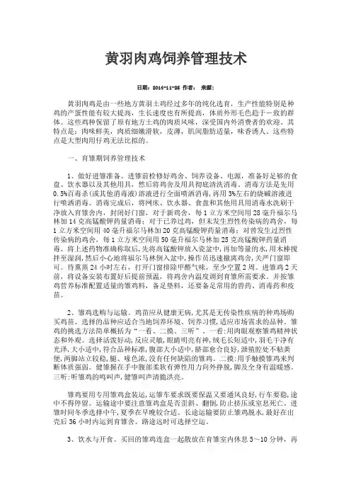 黄羽肉鸡的饲养管理
