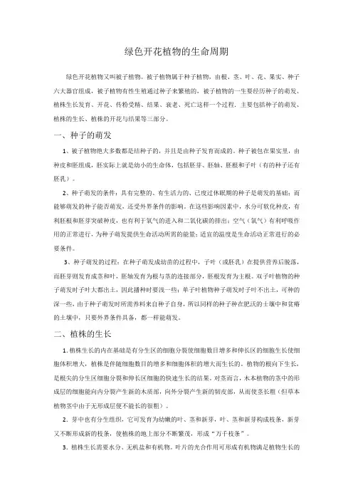 绿色开花植物的生命周期