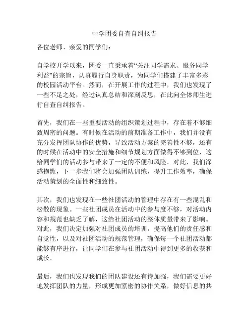 中学团委自查自纠报告