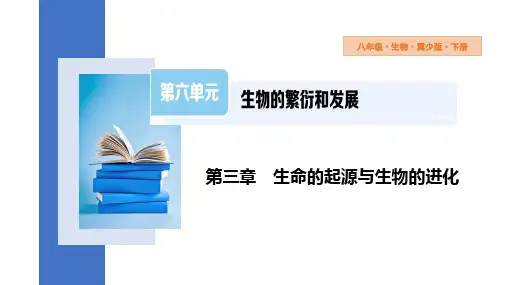 现代生物技术课件(共24张PPT)初中生物冀少版八年级下册