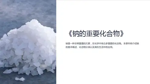 《钠的重要化合物》课件