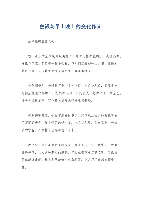 金银花早上晚上的变化作文
