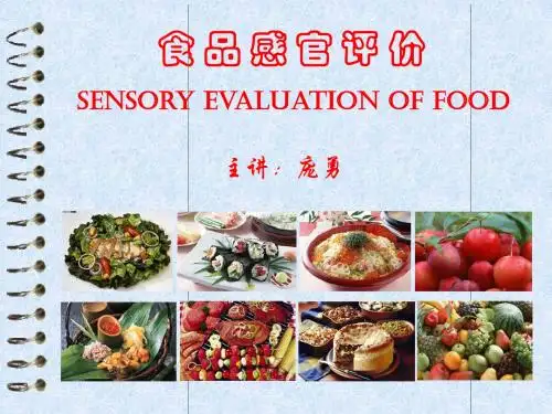 1-食品感官评价