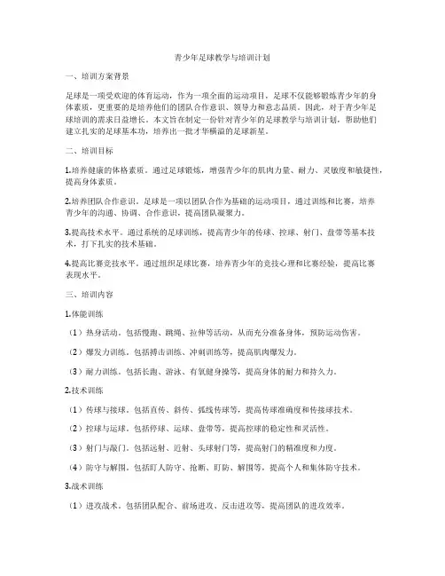 青少年足球教学与培训计划