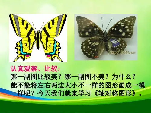 西师版小学数学五年级上册轴对称图形