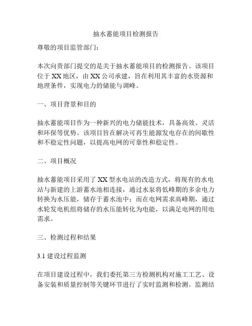 抽水蓄能项目检测报告