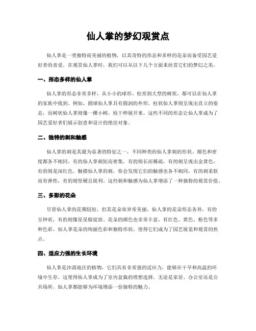 仙人掌的梦幻观赏点