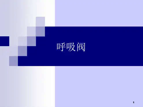 呼吸阀演示课件
