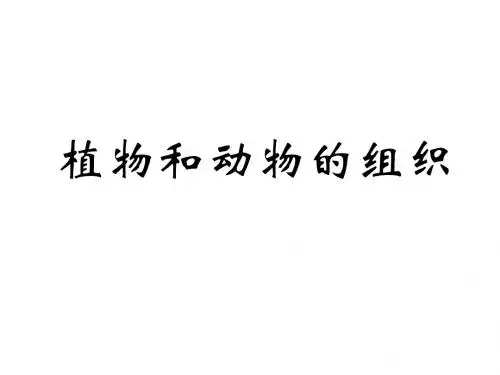 七年级科学显微镜下的各种生物3