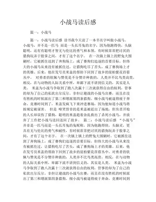 小战马读后感