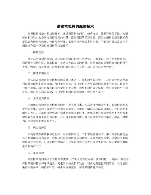 高密植梨树的栽培技术