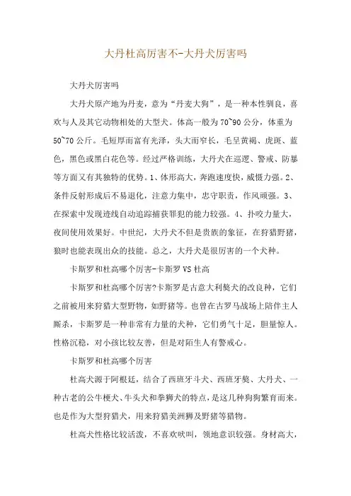 大丹杜高厉害不-大丹犬厉害吗