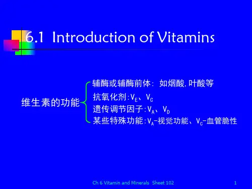 6维生素与矿物质b