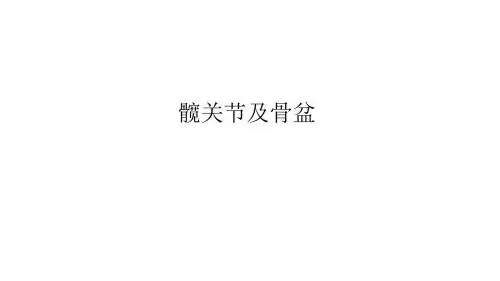 髋关节及骨盆理学检查课件