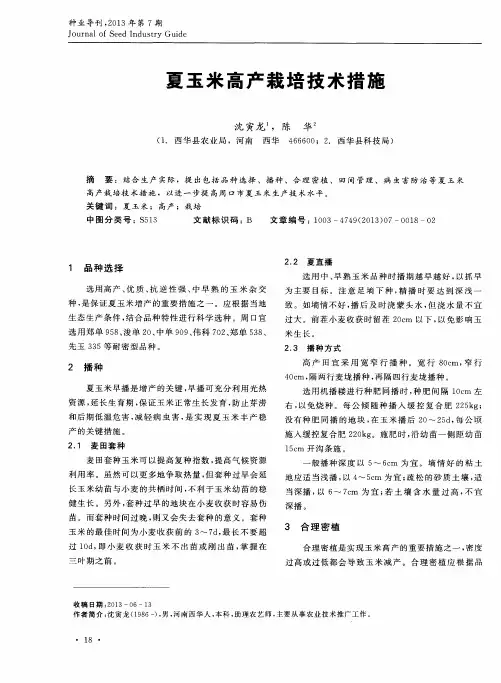 夏玉米高产栽培技术措施