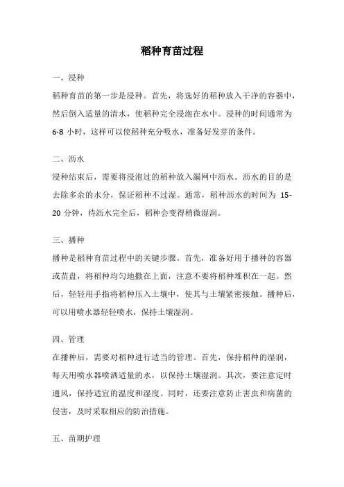 稻种育苗过程