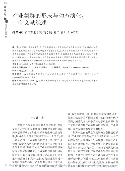 产业集群的形成与动态演化-一个文献综述