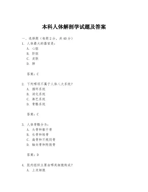 本科人体解剖学试题及答案