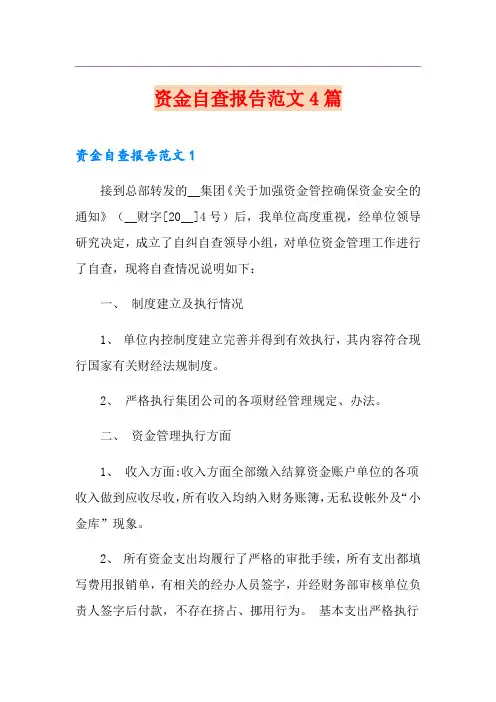 资金自查报告范文4篇