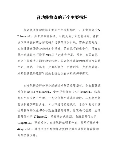 肾功能检查的五个主要指标