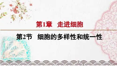 新版人教版高中生物细胞的多样性和统一性(共20张PPT)学习演示PPT课件