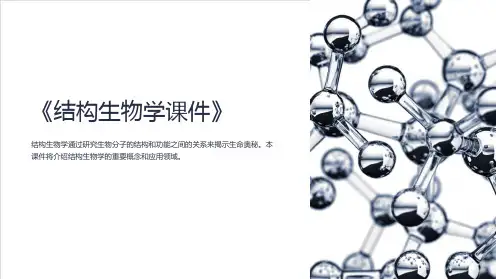 《结构生物学课件》