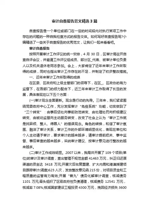 审计自查报告范文精选3篇