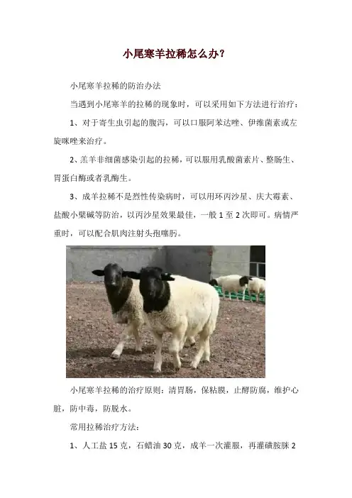 小尾寒羊拉稀怎么办？