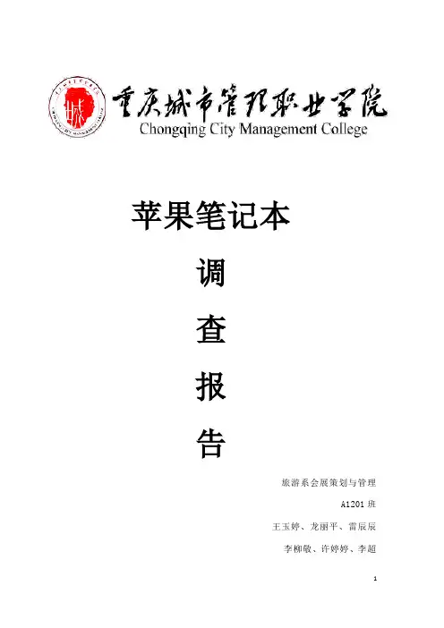 苹果笔记本市场调查报告