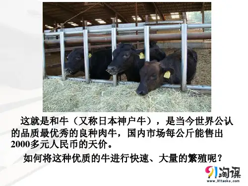 课件6：3.3 胚胎工程的应用及前景