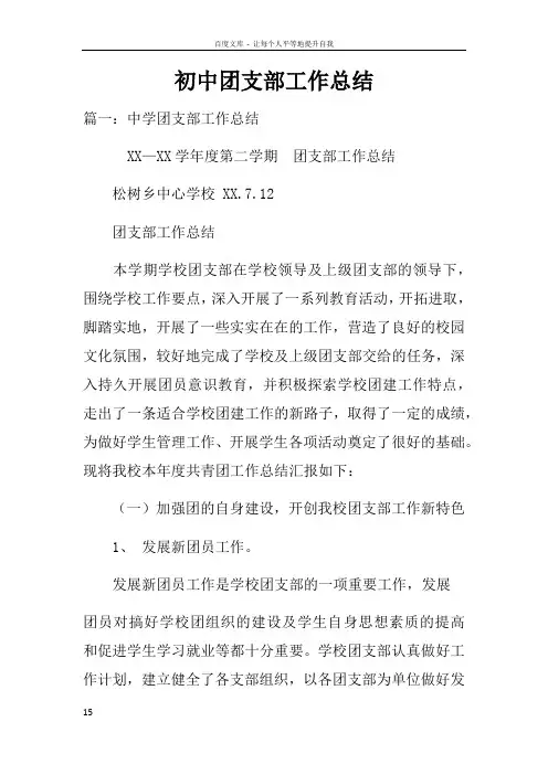 初中团支部工作总结doc