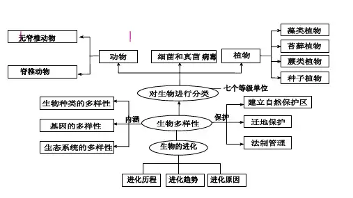 专题复习：生物的多样性 (共26张PPT)