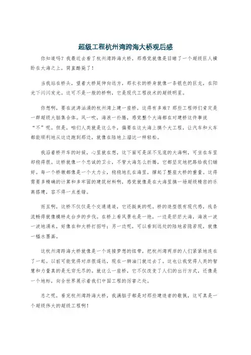 超级工程杭州湾跨海大桥观后感