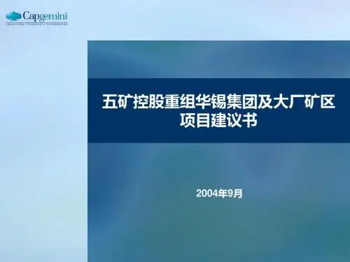 五矿有色控股重组华锡集团及大厂矿区项目建议书