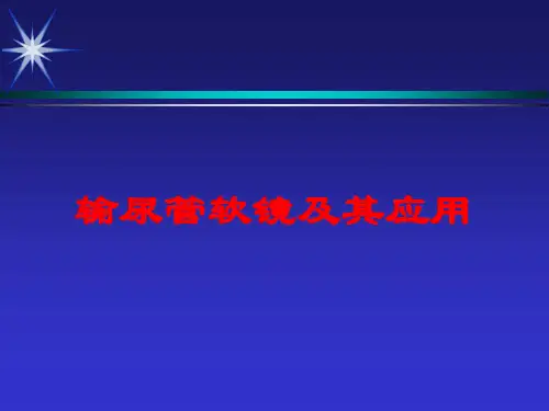 输尿管软镜及其应用培训课件