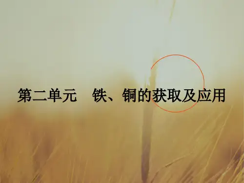 最新-2021学年高中化学必修一课件：3.2.1从自然界中获取铁和铜 精品