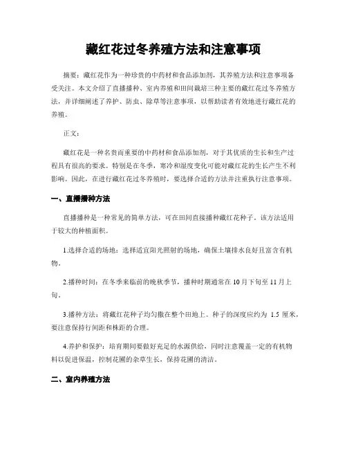 藏红花过冬养殖方法和注意事项