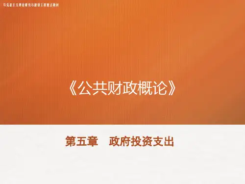 20马工程教材《公共财政概论》PPT-第五章 政府投资支出