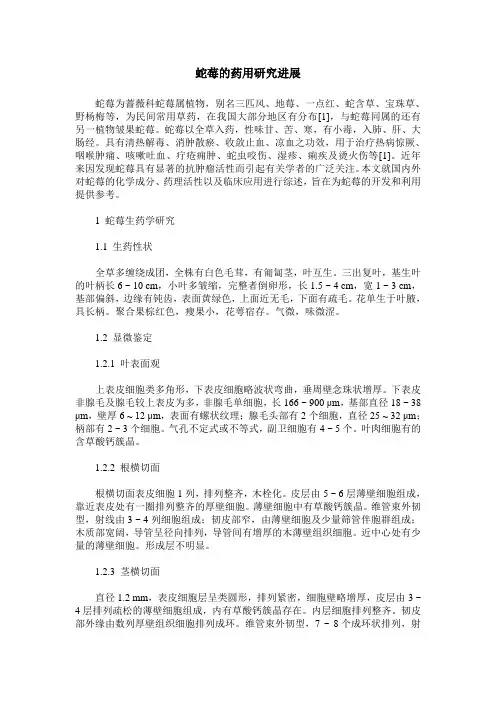 蛇莓的药用研究进展