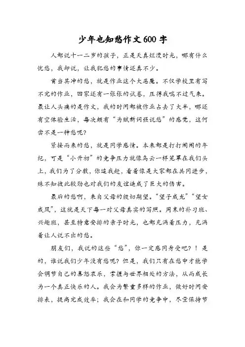 少年也知愁作文600字