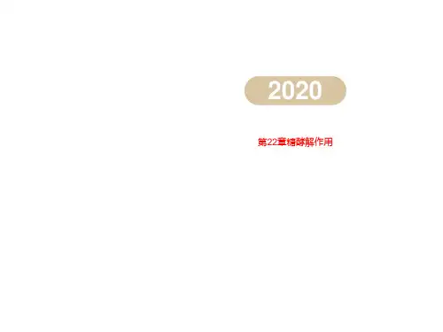 第22章糖酵解作用