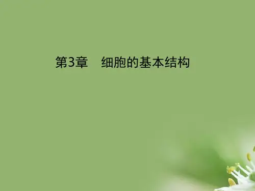 细胞膜——系统的边界ppt68 人教课标版精选教学PPT课件