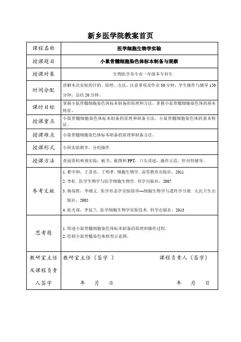 24-小鼠骨髓细胞染色体标本制备与观察-教案