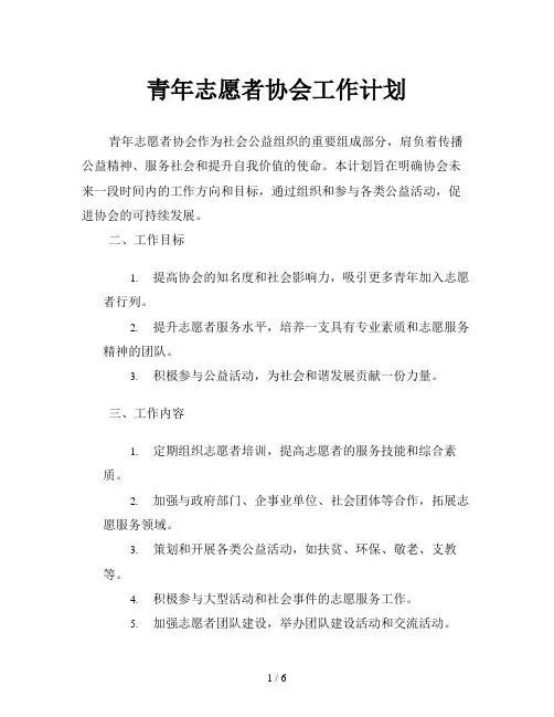 青年志愿者协会工作计划